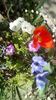 IMG-20200407-WA0043