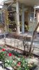 IMG-20200407-WA0049