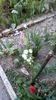IMG-20200408-WA0000
