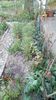 IMG-20200408-WA0002