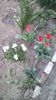 IMG-20200408-WA0008