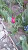 IMG-20200408-WA0011