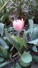IMG-20200408-WA0026