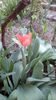 IMG-20200408-WA0029