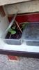 IMG-20200408-WA0035