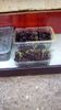 IMG-20200408-WA0037