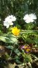 IMG-20200410-WA0013