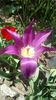 IMG-20200410-WA0019