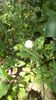 IMG-20200410-WA0025