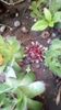 IMG-20200411-WA0017