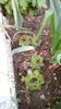 IMG-20200411-WA0023
