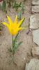 IMG-20200414-WA0018