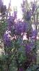 IMG-20200415-WA0000