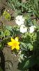 IMG-20200415-WA0005