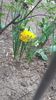 IMG-20200419-WA0014