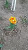 IMG-20200419-WA0017