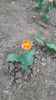 IMG-20200419-WA0019
