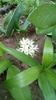 IMG-20200419-WA0025