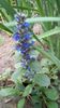 IMG-20200419-WA0028