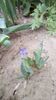 IMG-20200419-WA0040