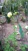 IMG-20200419-WA0049