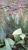 IMG-20200419-WA0058
