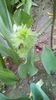 IMG-20200419-WA0059
