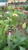 IMG-20200419-WA0063