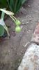 IMG-20200419-WA0065