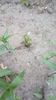 IMG-20200419-WA0092