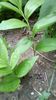 IMG-20200419-WA0096