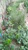 IMG-20200419-WA0100
