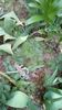 IMG-20200419-WA0102