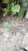 IMG-20200419-WA0107