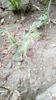 IMG-20200419-WA0109