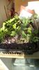 IMG-20200420-WA0001