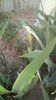 IMG-20200420-WA0009