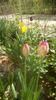 IMG-20200421-WA0023
