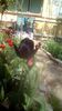 IMG-20200421-WA0026