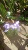 IMG-20200421-WA0035