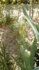 IMG-20200421-WA0038