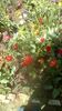 IMG-20200422-WA0004
