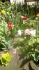 IMG-20200422-WA0007