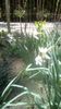 IMG-20200422-WA0017