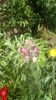 IMG-20200422-WA0022