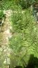 IMG-20200422-WA0024