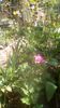 IMG-20200422-WA0025