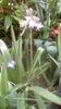 IMG-20200423-WA0000