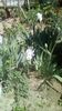 IMG-20200423-WA0010