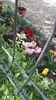 IMG-20200424-WA0023